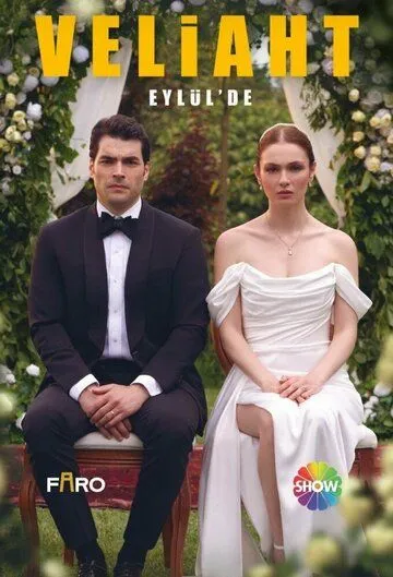 Наследный принц (турецкий сериал) все серии подряд смотреть онлайн